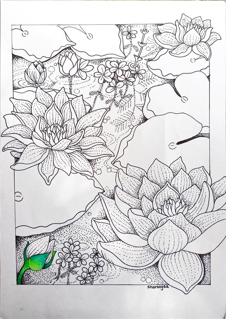 lotus in the making
