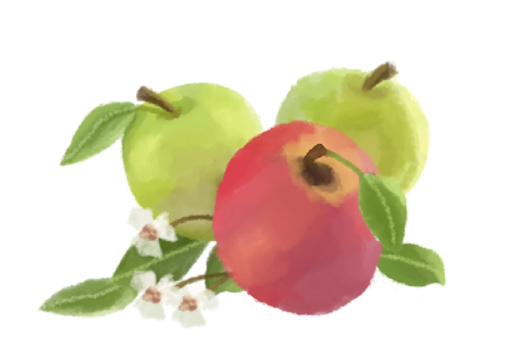 Apples